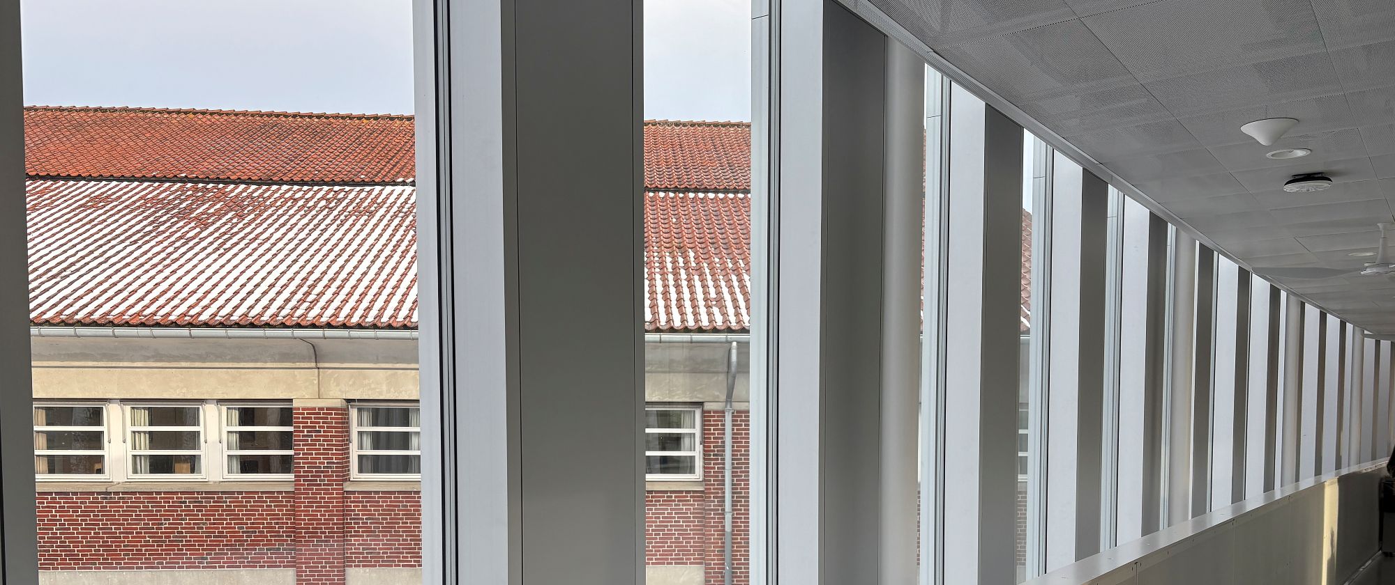 Vinduesparti på Rådhuset